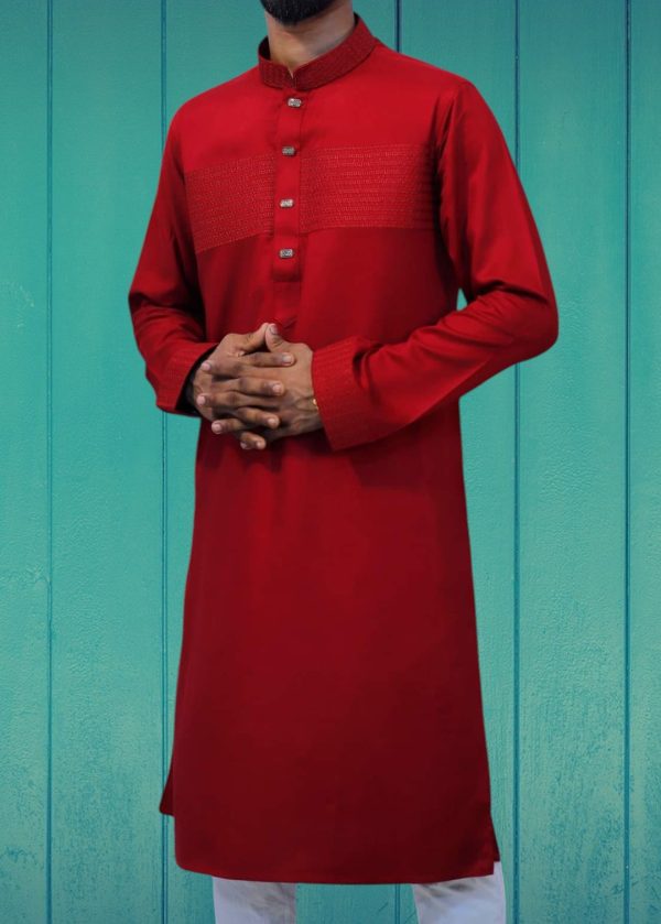 Embroidery & Sequin Panjabi - Image 3