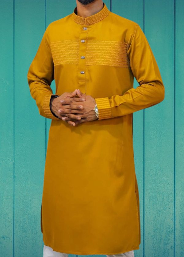Embroidery & Sequin Panjabi - Image 2